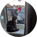 Lacey Moran Lacey Moran